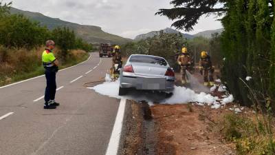 Els bombers durant les tasques d’extinció de l’incendi del vehicle. foto: dT