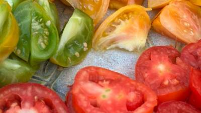 Imatges d’edicions passades de les “Jornades gastronòmiques de la tomaca i l’horta del Priorat” i la “Fira de la Tomaca”. Foto: Cedida