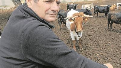 El ramader valencià Fernando Mansilla, a l’explotació que té a Ulldecona. FOTO: Joan Revillas