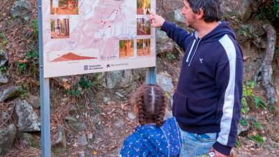 A lo largo del recorrido se localizan paneles informativos sobre las características del bosque y de las setas que se van encontrando.