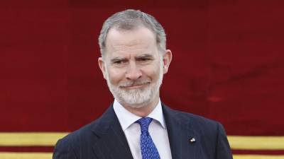 El rey Felipe VI. Foto: EFE