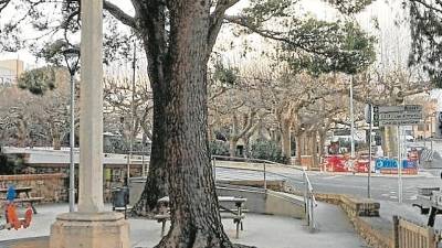 A la Sénia s’ha optat per crear una rèplica de la creu que ja està instal•lada al parc &nbsp;FOTO: AJUNTAMENT DE LA SÈNIA