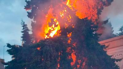 Una chispa durante la cercavila del Convit dels 700 incendia un árbol