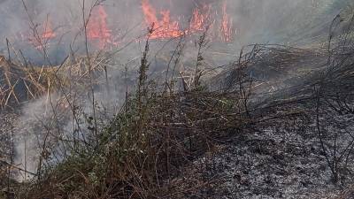 El incendio de matorrales entre Reus y La Canonja. FOTO: CEDIDA&nbsp;