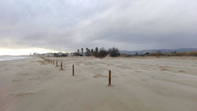 Las algas retienen la arena y forman incipientes dunas.