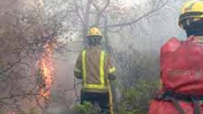 Máxima alerta por el peligro de incendio en las comarcas de Tarragona
