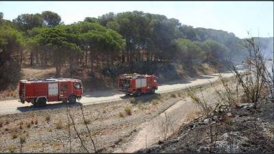 El incendio se produjo en una zona agrícola de Cambrils y podría haber sido provocado por la caída de un cable.