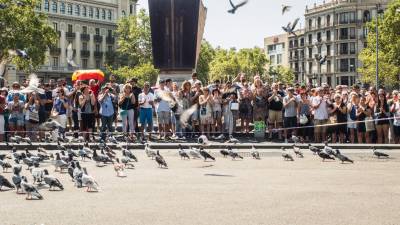 Emotiva concentración antiterrorista en la plazade Catalunya de Barcelona. ALÍCIA FÀBREGAS
