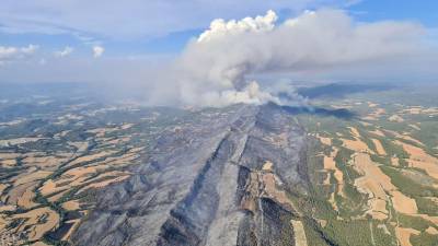Imagen aérea de la superficie que calcinó el incendio forestal de Santa Coloma de Queralt. Foto: DT
