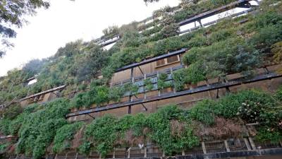 Algunas zonas del jardín vertical presentan ‘calvas’ sin plantar. FOTO: Lluís milián