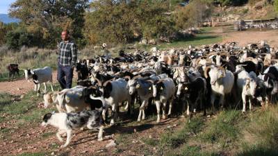 Xavier Minguillón con sus cabras. FOTO: Alba Tudó