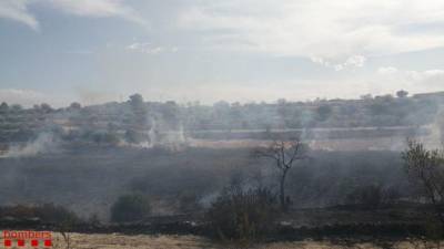 Imatge de l'incendi de Batea.