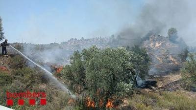 L'incendi d'Ascó ha cremat en total 8.600 metres quadrats de superfície. Foto: Bombers
