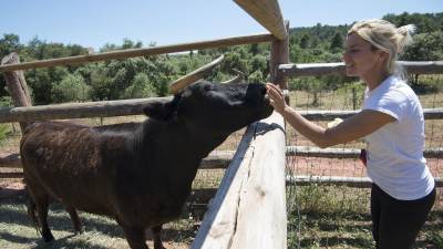La vaca Margarita sent cuidada pels animalistes d'El Hogar ProVegan. Foto: Joan Revillas
