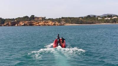 Imagen de las tareas de recogida de los ejemplares del grupo Balfegó. Foto: Grup Balfegó