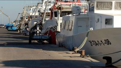 L'accident va tenir lloc al port pesquer de Sant Carles de la Ràpita. Foto: Joan Revillas/DT