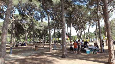 Imatge d'arxiu del Parc del Pinaret de Cambrils. Foto: Alba Mariné/DT