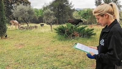 matge de l’Elena Tova a les instal·lacions del santuari d’animals a Marçà. FOTO: S. Fornós