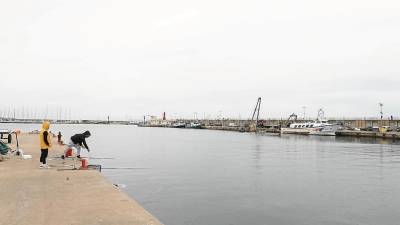 El moll de Cambrils, sense les barques d’arrossegament en un dia de pesca. Cada cop en queden menys. FOTO: Alba Mariné