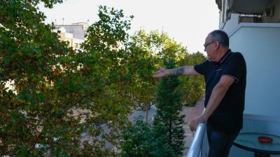 Tomás Moreno señalando la proximidad de los plataneros a la terraza de su piso. FOTO: FABIÁN ACIDRES