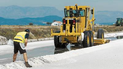 Els treballs de recollida de la sal a la punta de la Banya comencen avui dilluns amb una previsió d’unes 80.000 tones. FOTO: J. Revillas