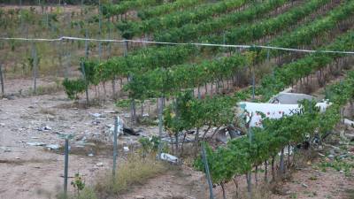 La avioneta cayó en un campo de viñedos dentro del término municipal de Bonastre (Baix Penedès). Foto: ACN