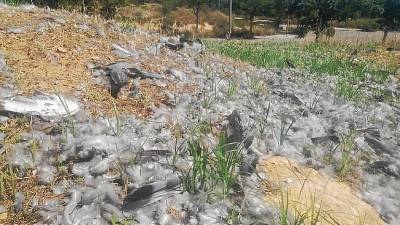 El montículo donde el hombre despluma los pájaros. FOTO: cedida