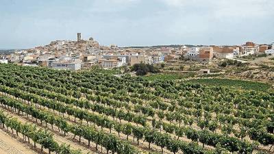 Imagen de viñas en la Terra Alta, con la localidad de Batea, al fondo. Esta es la comarca con menor renta declarada de toda Catalunya. FOTO: Joan Revillas