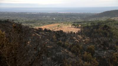 La zona de les Collades afectada per l'incendi forestal del Perelló, amb el nucli de l'Ametlla de Mar al fons. FOTO: ACN