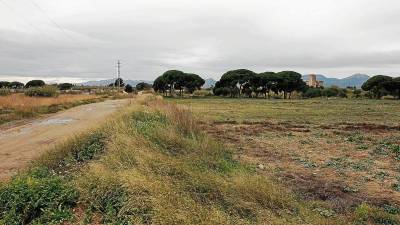 Parte de los terrenos donde se debe construir el futuro polígono de Mas de Don Felip. FOTO: fabián acidres
