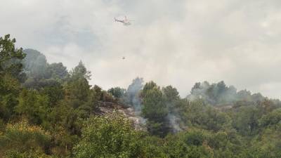 Uno de los incendios forestales de este año, en el término de La Selva del Camp. Foto: Àngel Juanpere