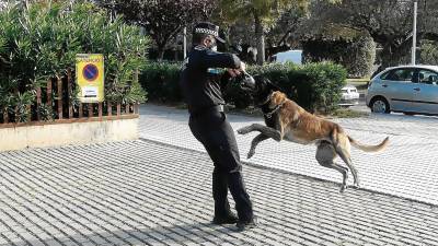 Un agente realiza jercicios de adiestramiento de perros en las calles de Salou. FOTO: AY. DE SALOU