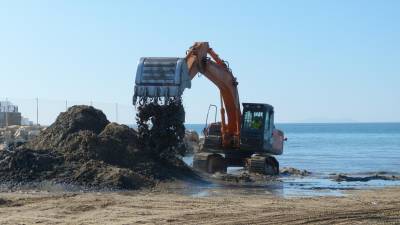 Las máquinas han trabajado para reponer la arena de algunas playas salouenses. FOTO: CEDIDA