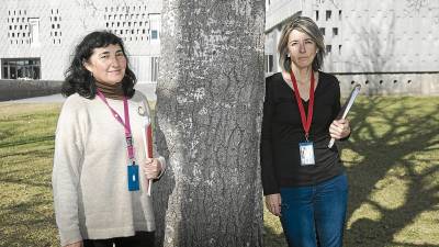 Marisa Panisello i Pilar Montesó, dues de les investigadores de l’estudi i professionals del Campus Terres de l’Ebre de la URV. FOTO: JOAN REVILLAS