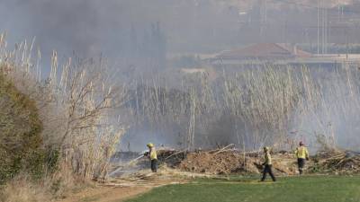 Bombers apagando el fuego en el cañar de Tarragona. FOTO: Lluís Milián