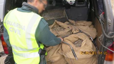La furgoneta interceptada llevaba los 180 kilos de aceitunas recolectadas en una finca privada. FOTO: Guardia Civil