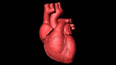 Una reproducción en imagen de un corazón. Foto: Pixabay