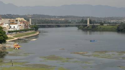 Els fets van passar al riu Ebre al seu pas pel terme municipal d’Amposta. Foto: Joan Revillas