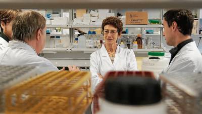 La doctora Marta Schuhmacher, en un laboratorio en la URV. Foto: urv
