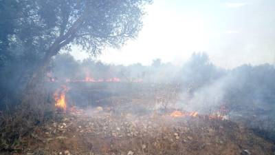 Imagen de las llamas del incendio de Vila-seca. FOTO:DT