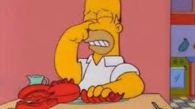 Homer, dels Simpson, va adotar una llagosta de companyia.