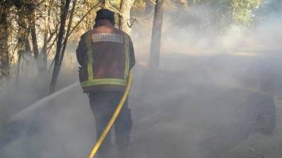 Els bombers han perimetrat el foc en mitja hora a Calafell