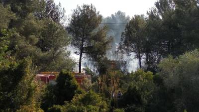 Una dotación de bomberos en la zona quemada. Foto: Àngel Juanpere
