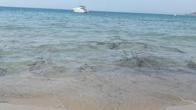 La mancha resalta en el agua cristalina de la playa Canyadell, en Altafulla. FOTO: DT