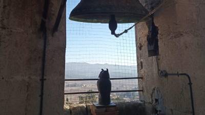 El búho ya no asustaba a las palomas. FOTO CAMPANERS L'ARBOÇ