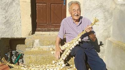 Ramon Miró, de 85 anys, és un productor veterà d’alls de Belltall i un testimoni de com ha evolucionat el conreu d’aquest producte. FOTO: cedida