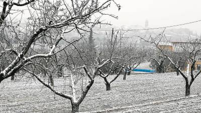 Ya a finales de febrero una nevada afectó a poblaciones de la provincia de Tarragona, como Falset.