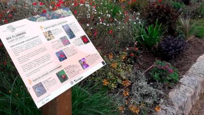 Uno de los proyectos de Urbaser en el Camp de Mart de Tarragona. FOTO: Cedida