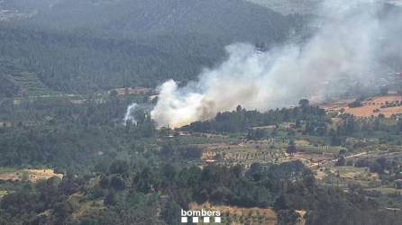 El incendio de cañas y vegetación en Marçà. Foto: Bombers