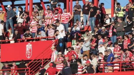 El público del partido Granada - Athletic observa la zona donde este domingo un asistente es atendido por los servicios médicos tras sufrir una parada en el Nuevo Estadio de los Cármenes. Foto: EFE/ Pepe Torres